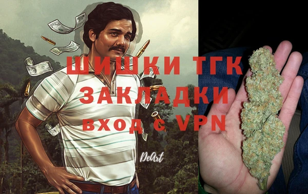 тгк Лиски