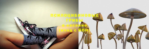каннабис Магадан
