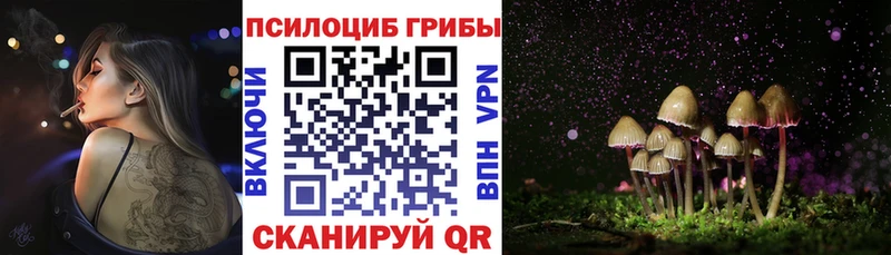 Галлюциногенные грибы GOLDEN TEACHER  Нолинск 